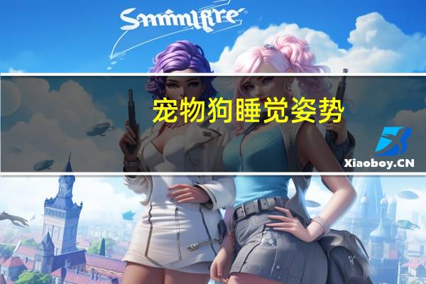 宠物狗睡觉姿势