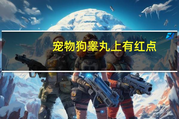 宠物狗睾丸上有红点