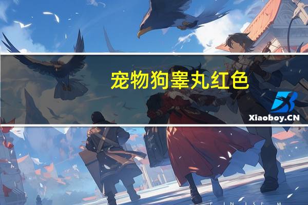 宠物狗睾丸红色