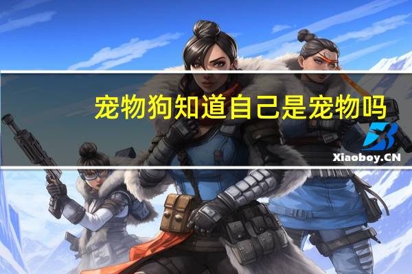 宠物狗知道自己是宠物吗