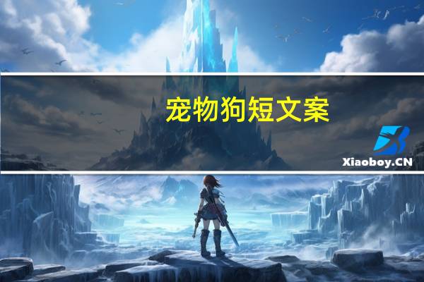 宠物狗短文案