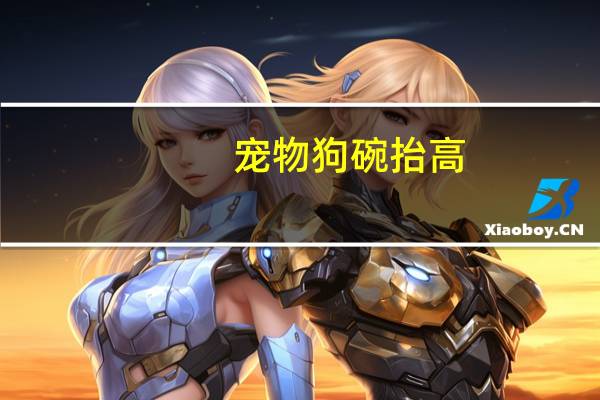 宠物狗碗抬高