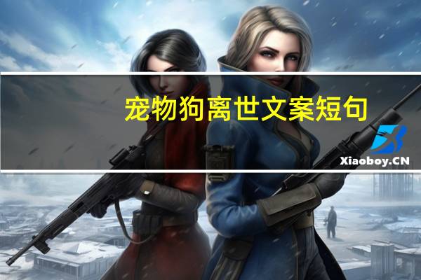 宠物狗离世文案短句