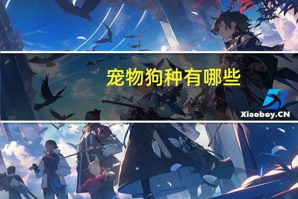 宠物狗种有哪些