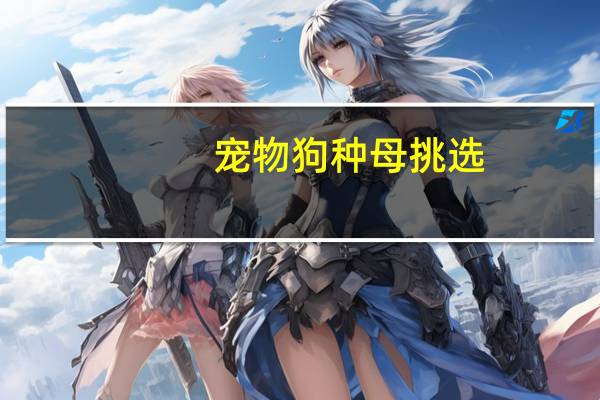宠物狗种母挑选