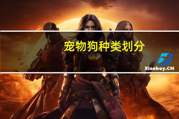宠物狗种类划分