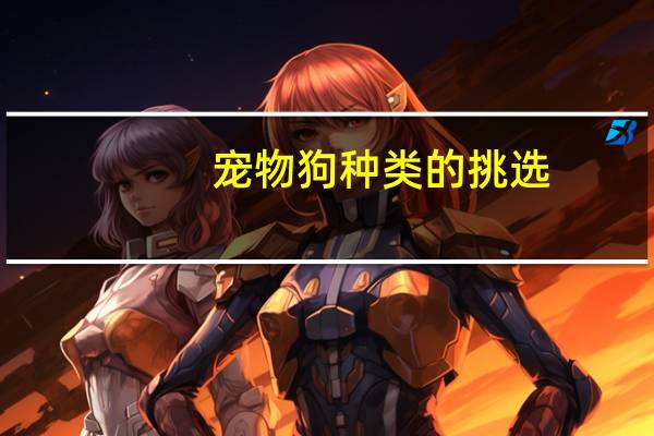 宠物狗种类的挑选