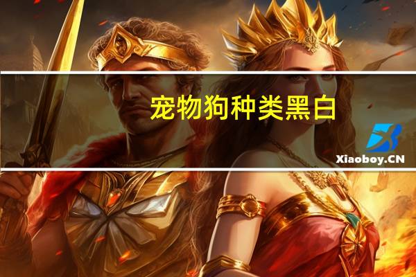 宠物狗种类黑白