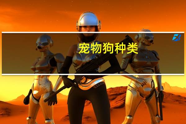 宠物狗种类