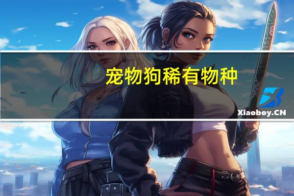 宠物狗稀有物种