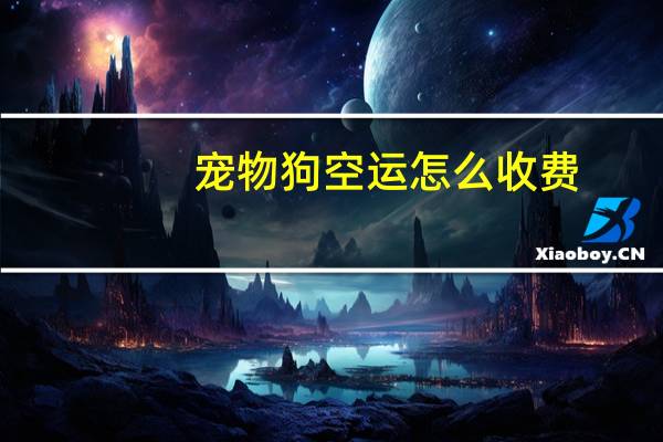 宠物狗空运怎么收费