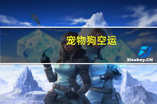 宠物狗空运