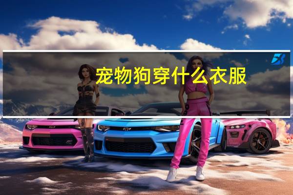 宠物狗穿什么衣服
