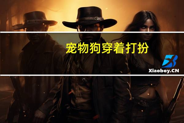 宠物狗穿着打扮