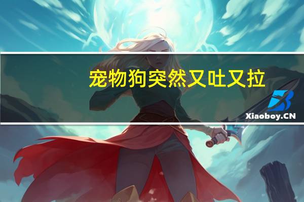 宠物狗突然又吐又拉