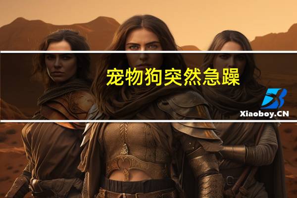 宠物狗突然急躁