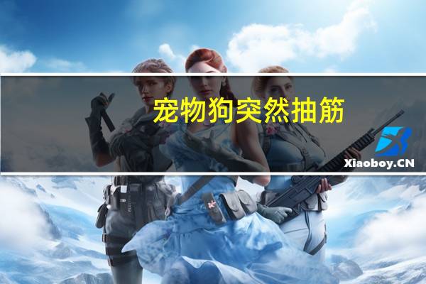 宠物狗突然抽筋