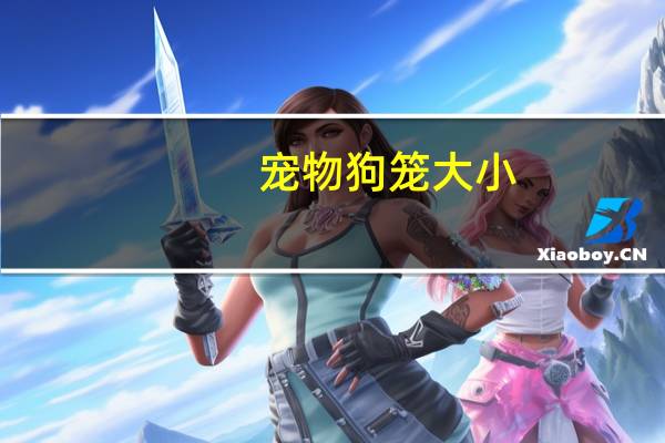 宠物狗笼大小