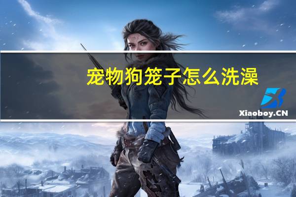 宠物狗笼子怎么洗澡