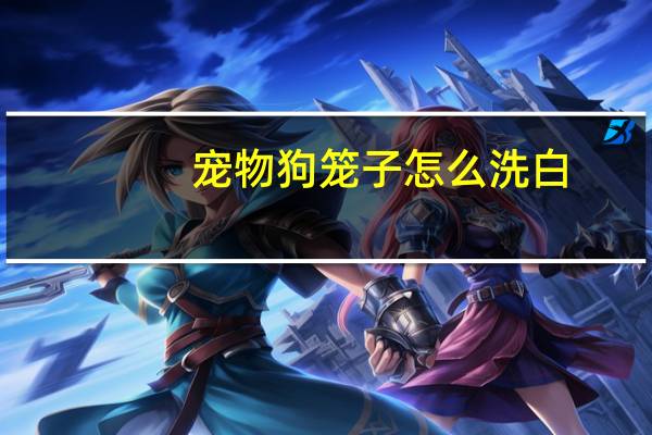 宠物狗笼子怎么洗白