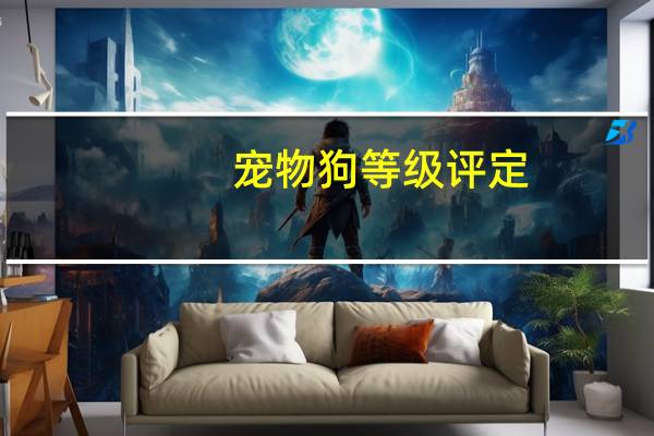 宠物狗等级评定