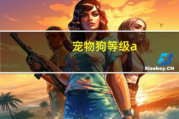宠物狗等级a