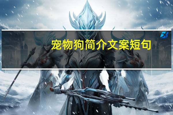 宠物狗简介文案短句