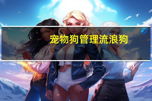 宠物狗管理流浪狗