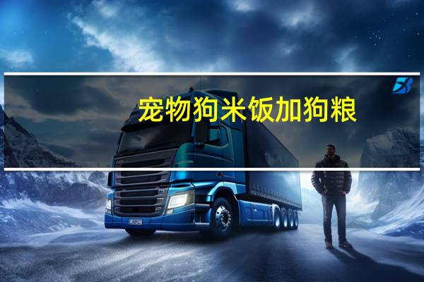 宠物狗米饭加狗粮