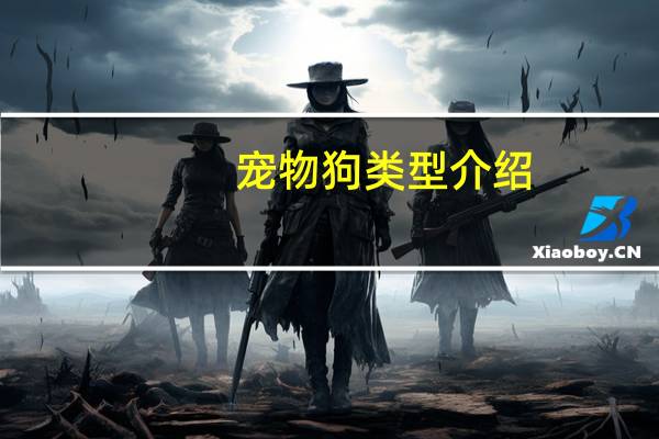 宠物狗类型介绍