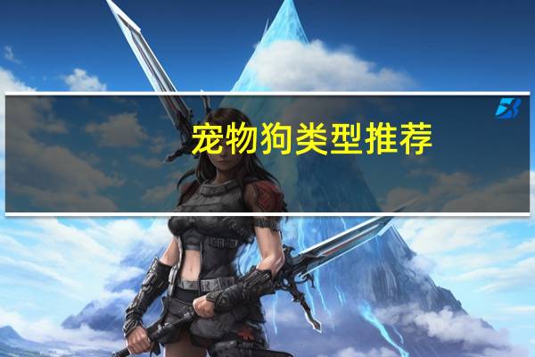 宠物狗类型推荐
