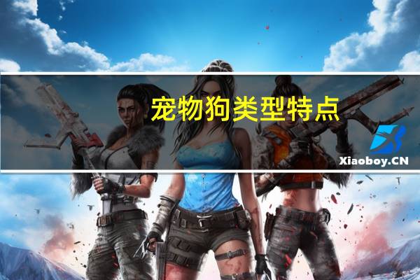 宠物狗类型特点
