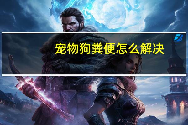 宠物狗粪便怎么解决