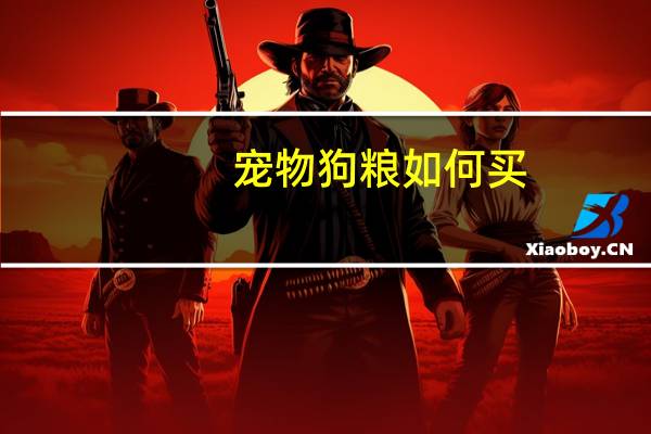 宠物狗粮如何买