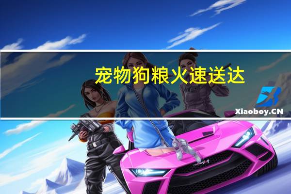 宠物狗粮火速送达
