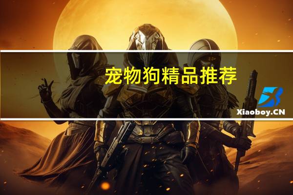 宠物狗精品推荐