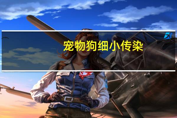 宠物狗细小传染
