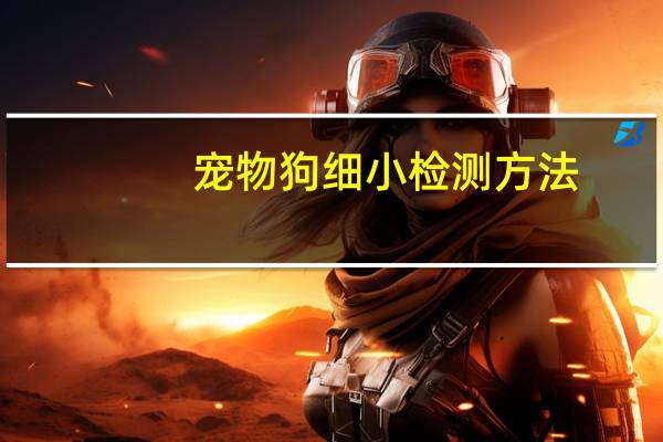 宠物狗细小检测方法