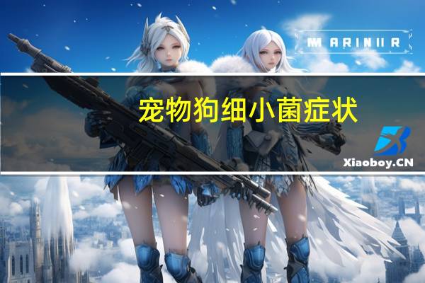 宠物狗细小菌症状