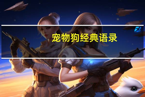 宠物狗经典语录