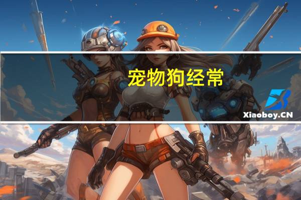 宠物狗经常