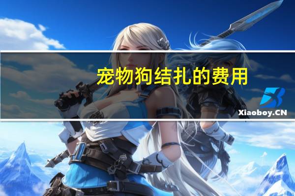 宠物狗结扎的费用