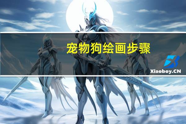 宠物狗绘画步骤