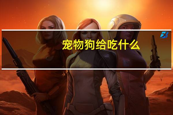 宠物狗给吃什么