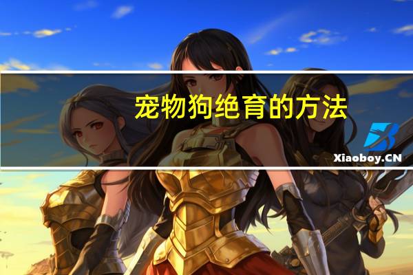 宠物狗绝育的方法