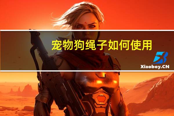 宠物狗绳子如何使用