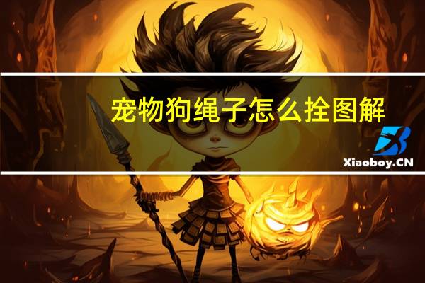 宠物狗绳子怎么拴图解