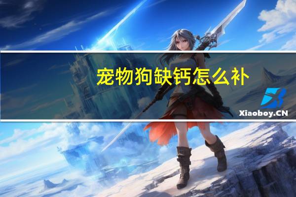 宠物狗缺钙怎么补
