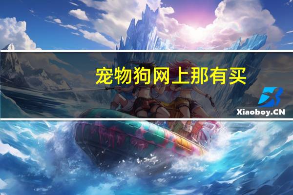 宠物狗网上那有买