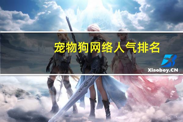 宠物狗网络人气排名
